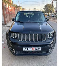 جيب رينيجيد